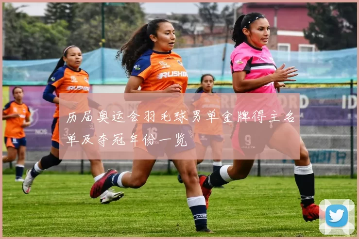 历届奥运会羽毛球男单金牌得主名单及夺冠年份一览