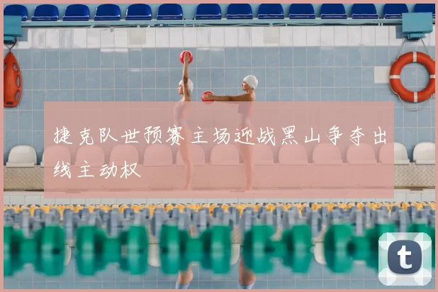 捷克队世预赛主场迎战黑山争夺出线主动权