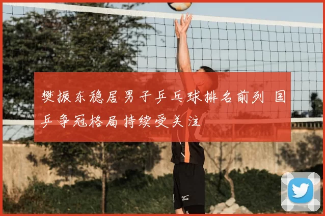樊振东稳居男子乒乓球排名前列 国乒争冠格局持续受关注