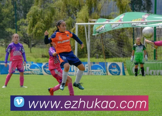 米兰米兰体育官网登录入口服务体系